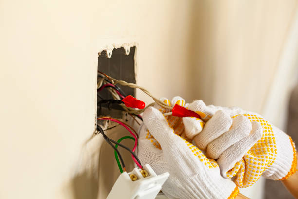 Best Electrical Panel Upgrades  in Brookwood, AL